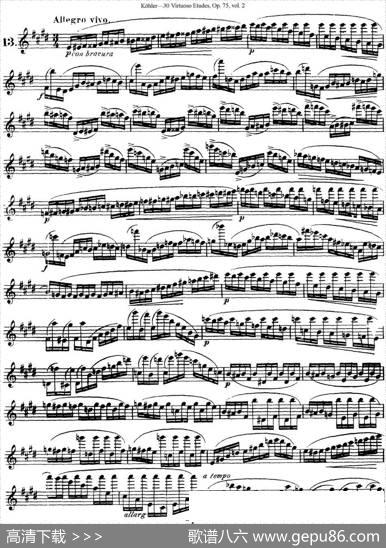 柯勒30首高级长笛练习曲作品75号（NO.13）|Kohler(柯勒)