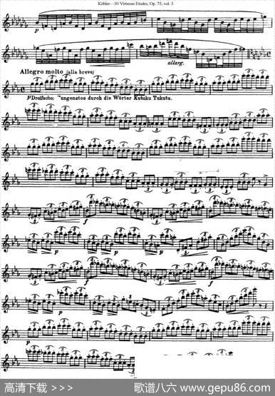 柯勒30首高级长笛练习曲作品75号（NO.24）|Kohler(柯勒)