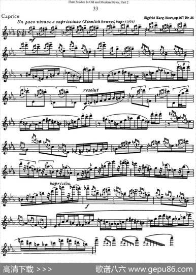 斯勒新老风格长笛练习重奏曲（第二部分）（NO.33）|SiegfriedThieleS.(斯勒)