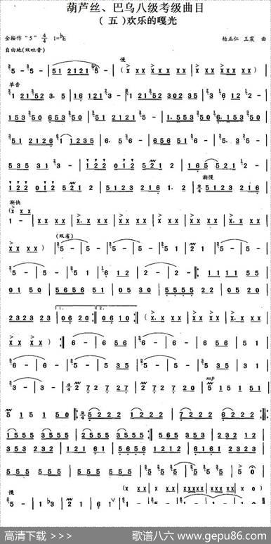 葫芦丝、巴乌八级考级曲目：欢乐的嘎光|杨正仁王震