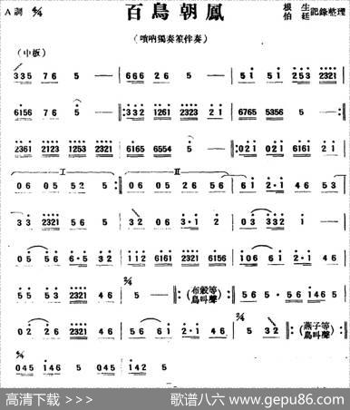 百鸟朝凤（唢呐独奏笙伴奏）|根生·伯廷记录整理
