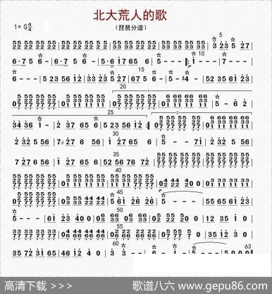 北大荒人的歌（琵琶分谱）