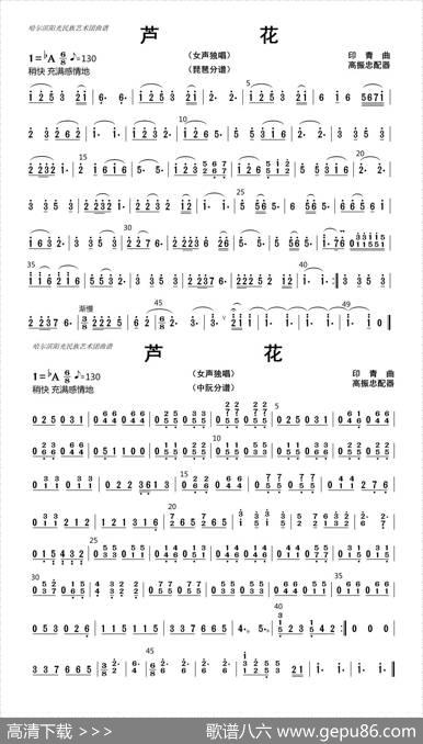 芦花（琵琶、中阮分谱）|高振忠配器