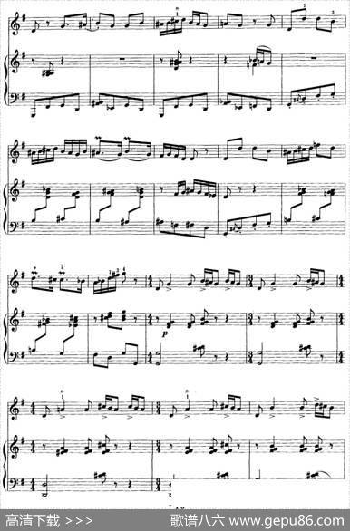 第一二胡狂想曲（二胡+钢琴伴奏）|王建民