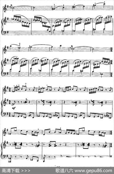 第一二胡狂想曲（二胡+钢琴伴奏）|王建民