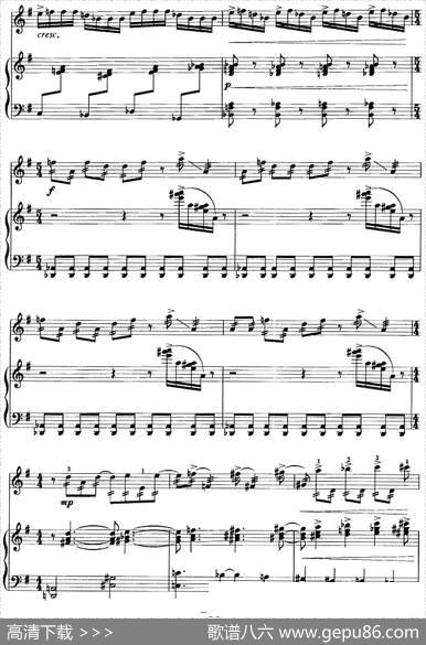 第一二胡狂想曲（二胡+钢琴伴奏）|王建民