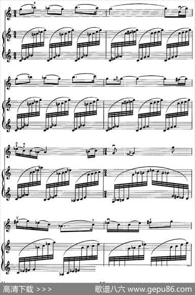 第一二胡狂想曲（二胡+钢琴伴奏）|王建民