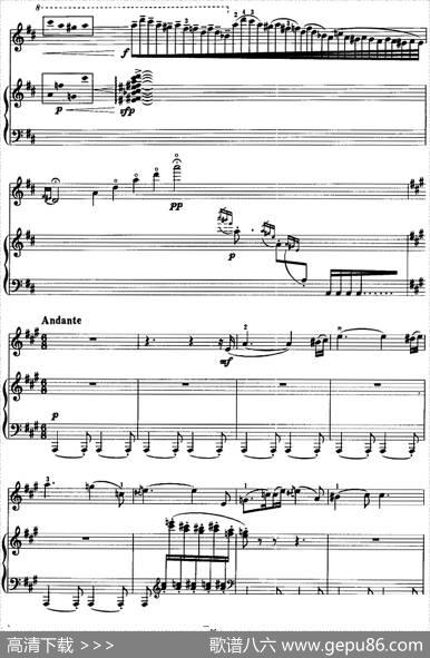 第一二胡狂想曲（二胡+钢琴伴奏）|王建民