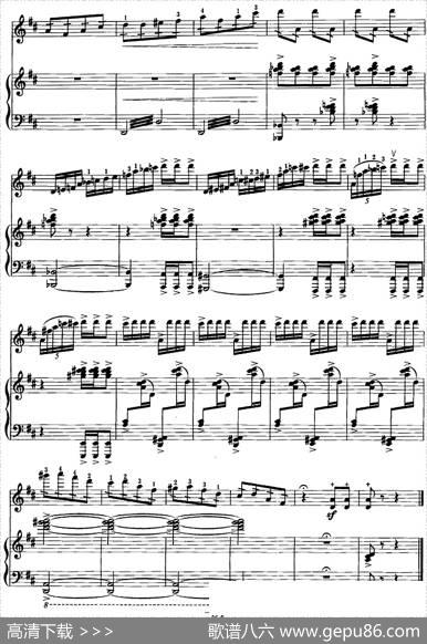 第一二胡狂想曲（二胡+钢琴伴奏）|王建民