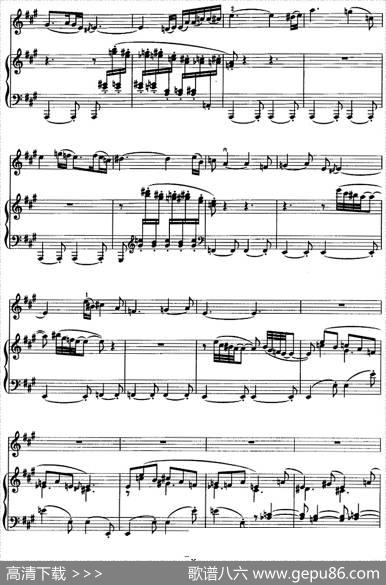 第一二胡狂想曲（二胡+钢琴伴奏）|王建民