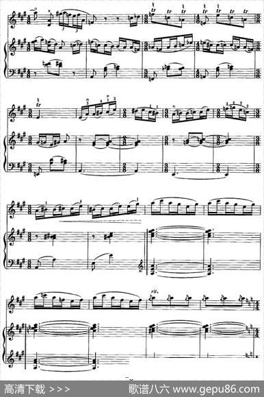 第一二胡狂想曲（二胡+钢琴伴奏）|王建民