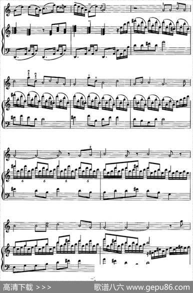 第一二胡狂想曲（二胡+钢琴伴奏）|王建民