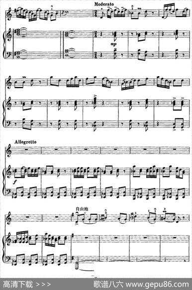 第一二胡狂想曲（二胡+钢琴伴奏）|王建民