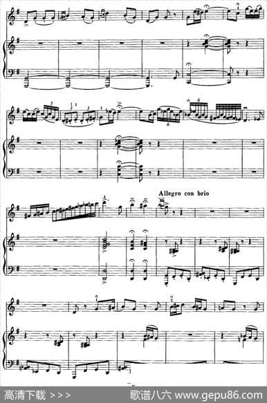 第一二胡狂想曲（二胡+钢琴伴奏）|王建民