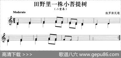 田野里一株小菩提树（小号）