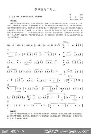 在希望的田野上（笛子演奏提示版）