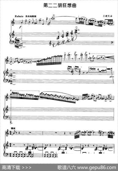 第二二胡狂想曲（二胡+钢琴伴奏）|王建民