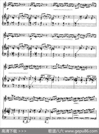 第二二胡狂想曲（二胡+钢琴伴奏）|王建民