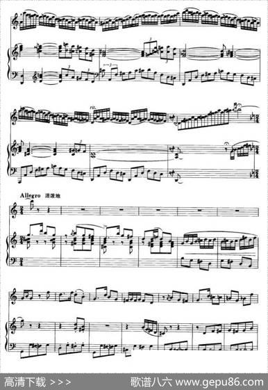 第二二胡狂想曲（二胡+钢琴伴奏）|王建民