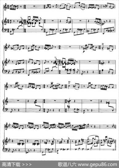 第二二胡狂想曲（二胡+钢琴伴奏）|王建民