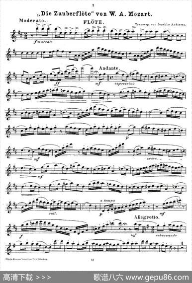 Opern-Transcriptionen.Op.45-8