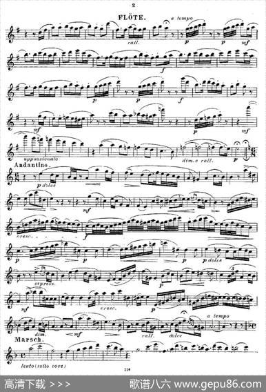 Opern-Transcriptionen.Op.45-8