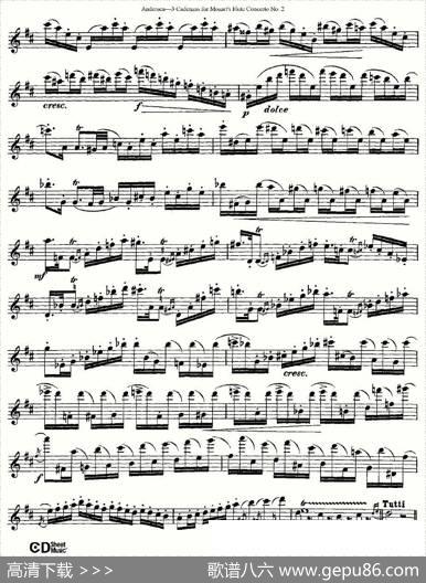 3CadenzasforMozart'sfluteConcertoNo.2