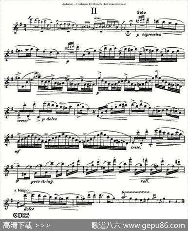 3CadenzasforMozart'sfluteConcertoNo.2