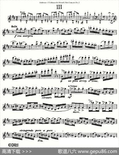 3CadenzasforMozart'sfluteConcertoNo.2