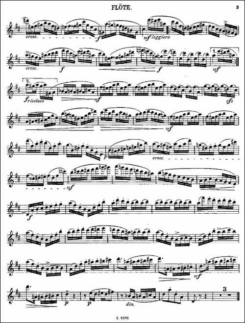 Die-Mühle-Op.55-No.4-长笛五线谱|长笛谱