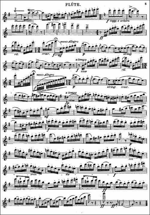 Introduction-et-Caprice-Op.58-长笛五线谱|长笛谱