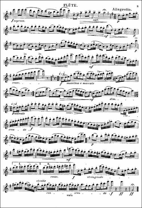 Fantaisies-nationales.-Ecossais.--Op.59-No-长笛五线谱|长笛谱 - 图3 Fantaisies-nationales.-Ecossais.--Op.59-No-长笛五线谱|长笛谱