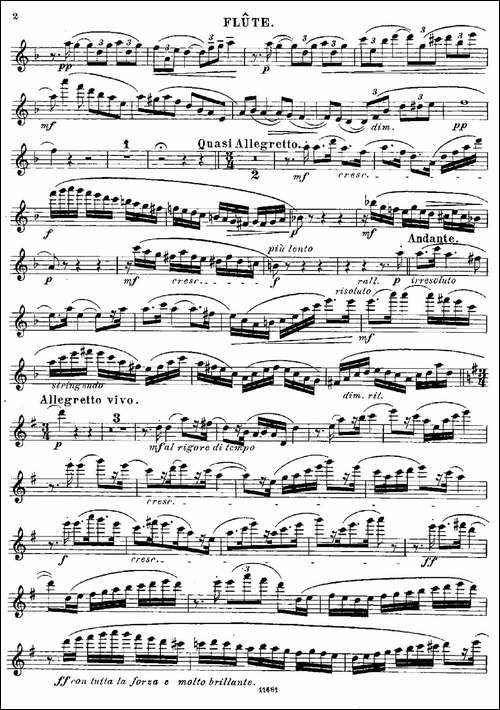 Fantaisies-nationales.-Suedois.-Op.59-No.4-长笛五线谱|长笛谱