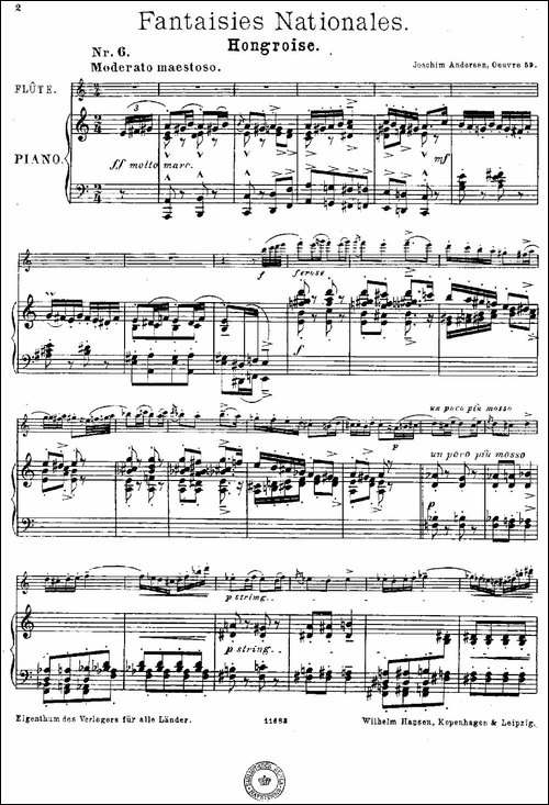 Fantaisies-nationales.-Hongrois.-Op.59-No.-长笛五线谱|长笛谱