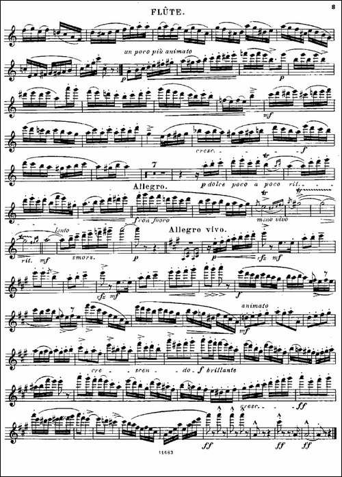 Fantaisies-nationales.-Hongrois.-Op.59-No.-长笛五线谱|长笛谱