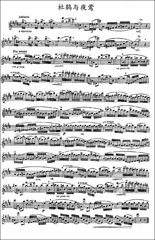 杜鹃与夜莺-长笛五线谱|长笛谱