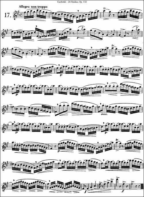 二十首练习曲作品132号之17-长笛五线谱|长笛谱