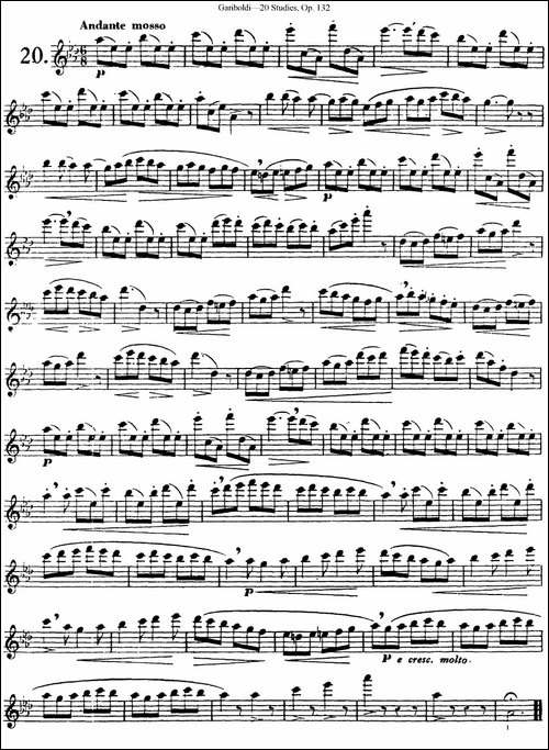 二十首练习曲作品132号之20-长笛五线谱|长笛谱