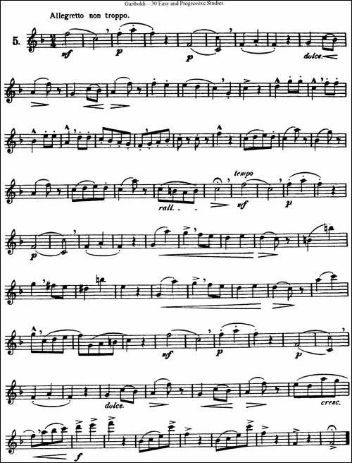 三十首基础及提高练习曲-NO.5-长笛五线谱|长笛谱