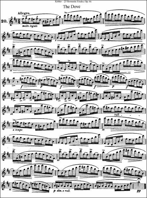 25首浪漫练习曲作品66号-NO.20-长笛五线谱|长笛谱