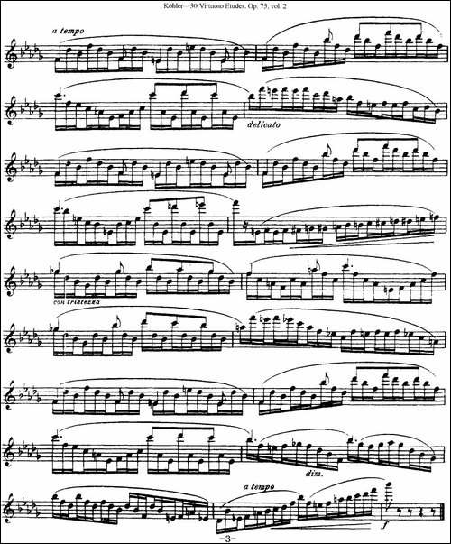柯勒30首高级长笛练习曲作品75号-NO.17-长笛五线谱|长笛谱