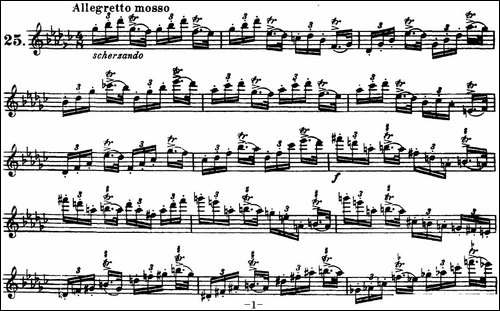 柯勒30首高级长笛练习曲作品75号-NO.25-长笛五线谱|长笛谱