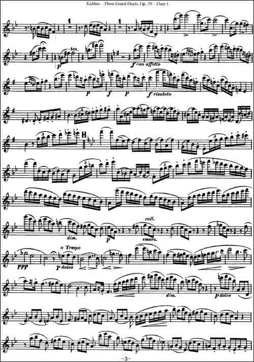 库劳长笛二重奏大练习曲Op.39——Flute-1-No.2-长笛五线谱|长笛谱