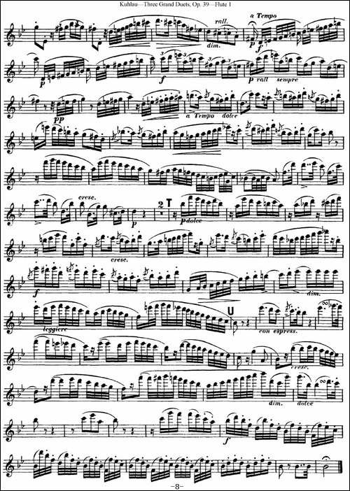库劳长笛二重奏大练习曲Op.39——Flute-1-No.2-长笛五线谱|长笛谱