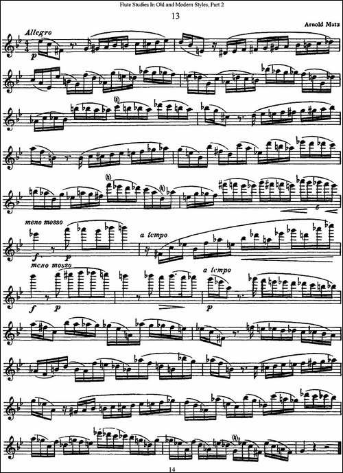 斯勒新老风格长笛练习重奏曲-第二-NO.13-长笛五线谱|长笛谱