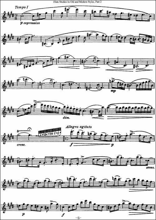 斯勒新老风格长笛练习重奏曲-第二-NO.21-长笛五线谱|长笛谱 - 图5 斯勒新老风格长笛练习重奏曲-第二-NO.21-长笛五线谱|长笛谱