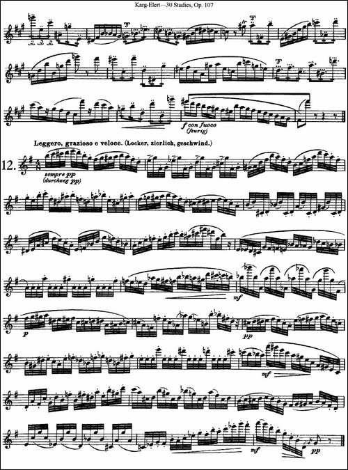 卡-伊勒特30首长笛练习曲Op.107-NO.10-NO.12-长笛五线谱|长笛谱