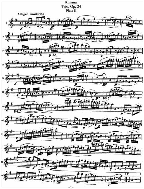 库默长笛三重奏Op.24-Flute-2-长笛五线谱|长笛谱