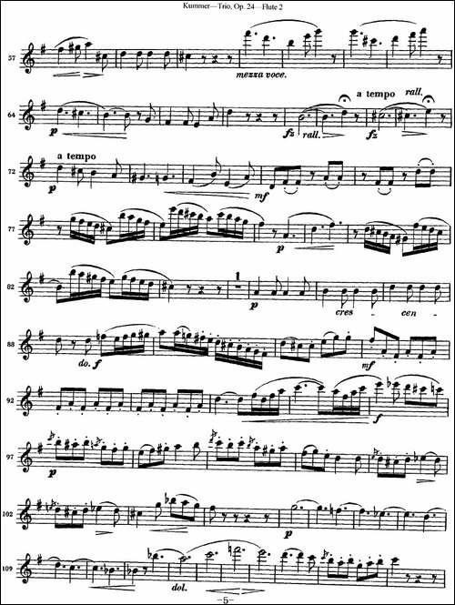 库默长笛三重奏Op.24-Flute-2-长笛五线谱|长笛谱