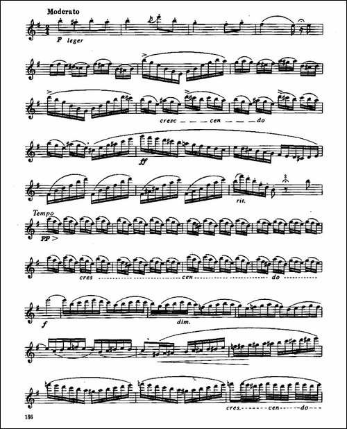 长笛九级考级曲谱-第四—1-长笛五线谱|长笛谱